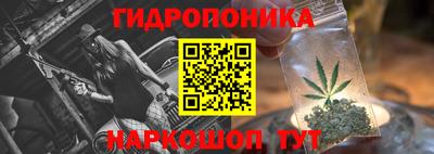 МДПВ Лесосибирск