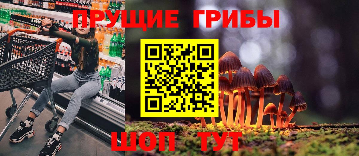 Псилоцибиновые грибы мицелий Топки